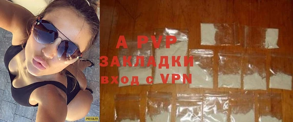 СК Алексин