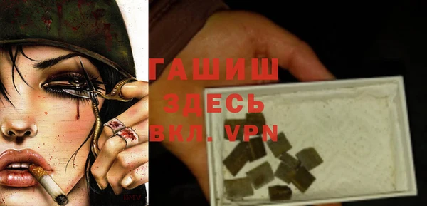СК Алексин