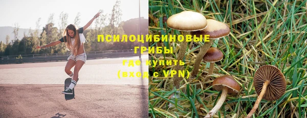 ГАЛЛЮЦИНОГЕННЫЕ ГРИБЫ Алзамай